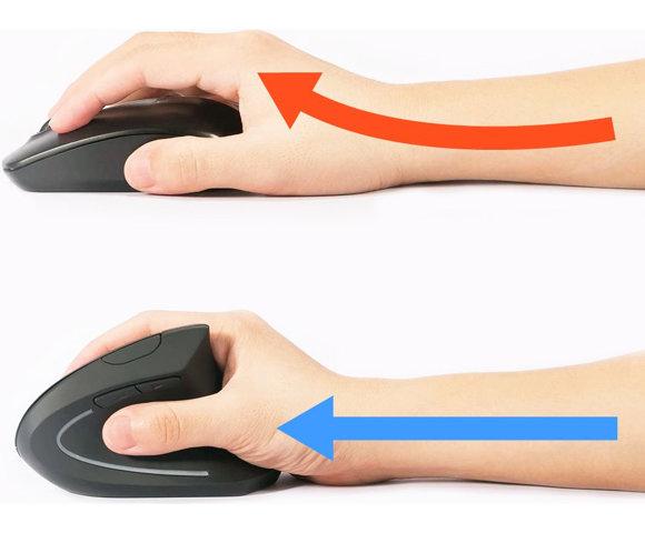 Equip  245110 - slika 4