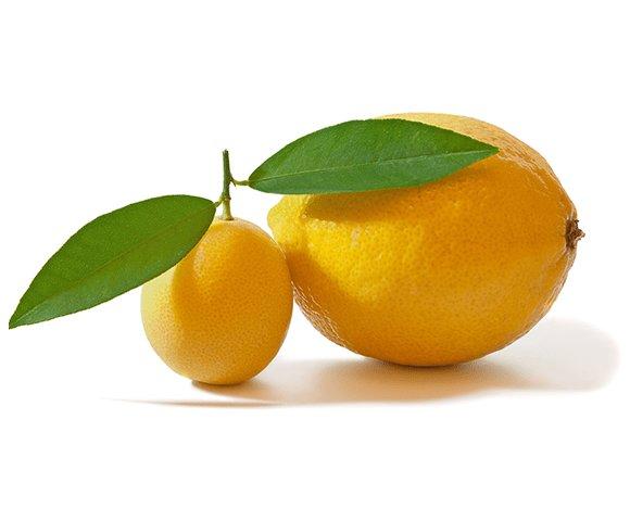 Tesla CJ301BX - slika 4