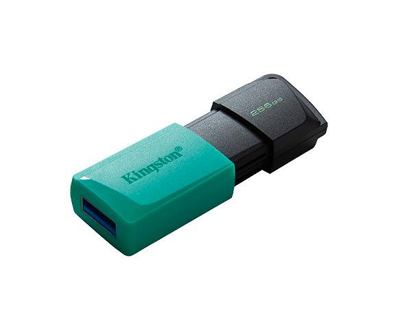Kingston DTXM/256GB - slika 2