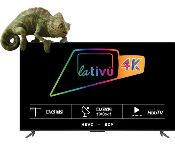 TCL 50P735 - slika 4