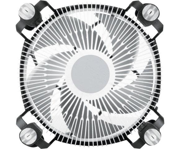 ARCTIC ACALP00040A - slika 6