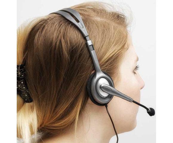 Logitech H110 (Siva) - slika 3