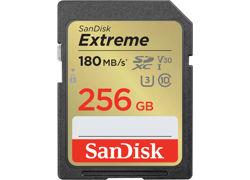 SANDISK SDSDXVV-256G-GNCIN