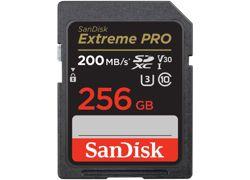 SANDISK SDSDXXD-256G-GN4IN