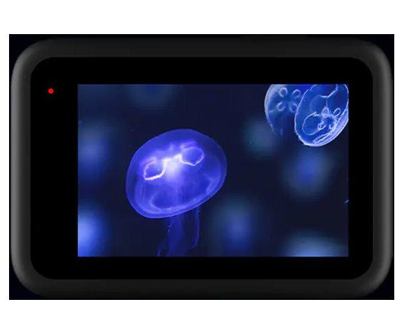 TELESIN GP-FLM-902 Screen and Lens Protector Film - slika 3