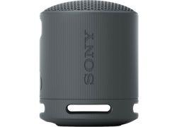 Sony SRS-XB100 (BLACK)