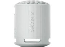 Sony SRS-XB100 (GREY)
