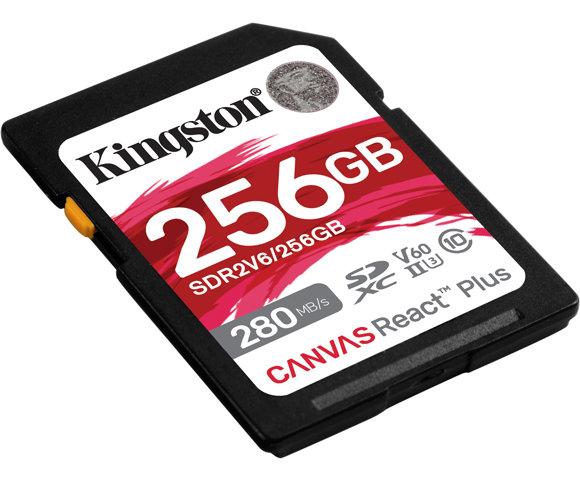 Kingston SDR2V6/256GB - slika 5