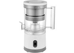 FG Electronics FS 519