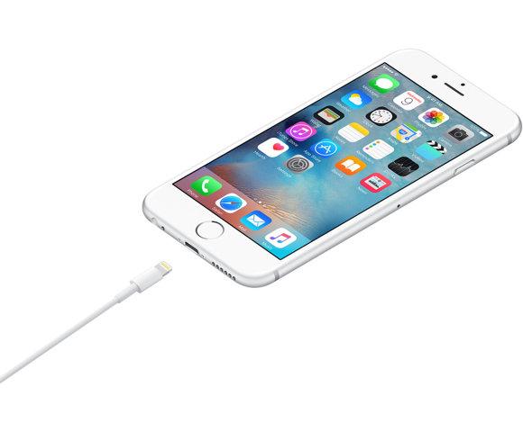 Apple Lightning / USB (0.5 m) - slika 2