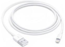 Apple Lightning / USB (1 m)