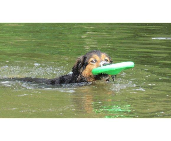 Collar Flyber - slika 8