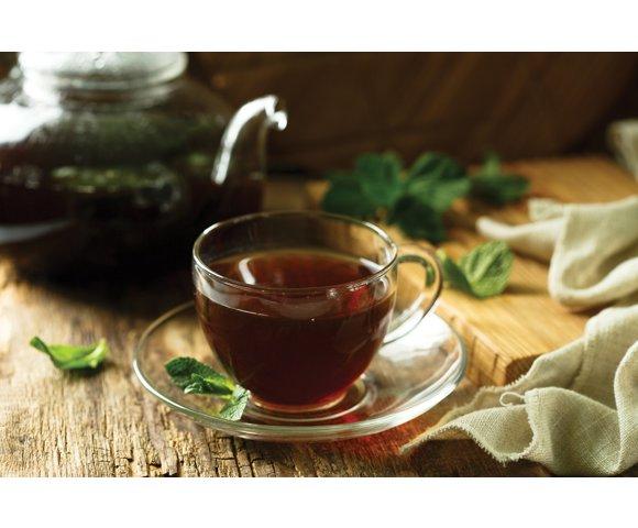 Ninja KT200EU - slika 2