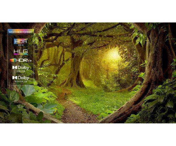 TCL 65C765 - slika 13