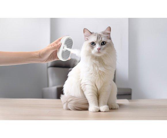 Rojeco RZSRK35-02 parna masažna četka - slika 6