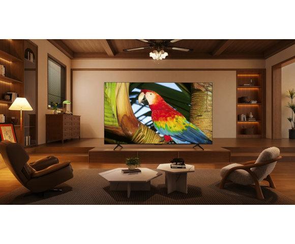 TCL 65C655 - slika 10