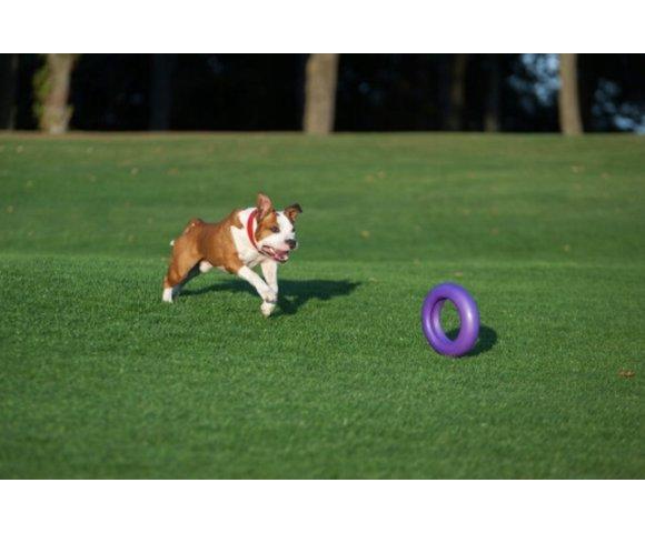 Waudog PULLER MAXI 30 cm - slika 3