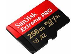 SANDISK SDSQXCD-256G-GN6MA