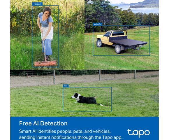 TP LINK TAPO C501GW - slika 13