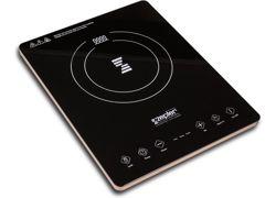 Zepter Induction Cooker