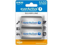 everActive R20/D Ni-MH 5500 mAh