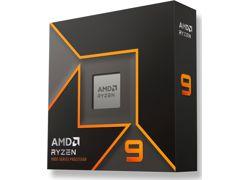 AMD Ryzen 9 9900X procesor