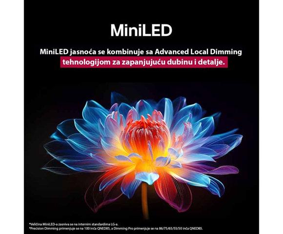 LG 55QNED87A3B - slika 10