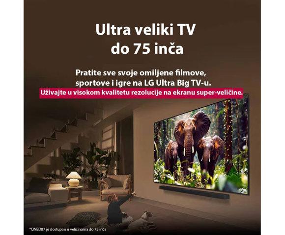 LG 55QNED87A3B - slika 11