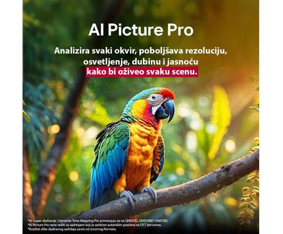 LG 55QNED87A3B - slika 5