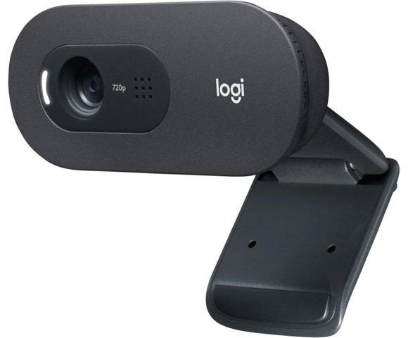 Logitech C505 HD Graphite webcam - slika 9
