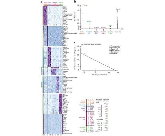 AMD Phenom II X4 965 - slika 4