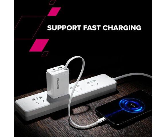 Canyon OnCharge 65RС Black punjač - slika 15