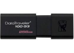Kingston DT100G3/256GB