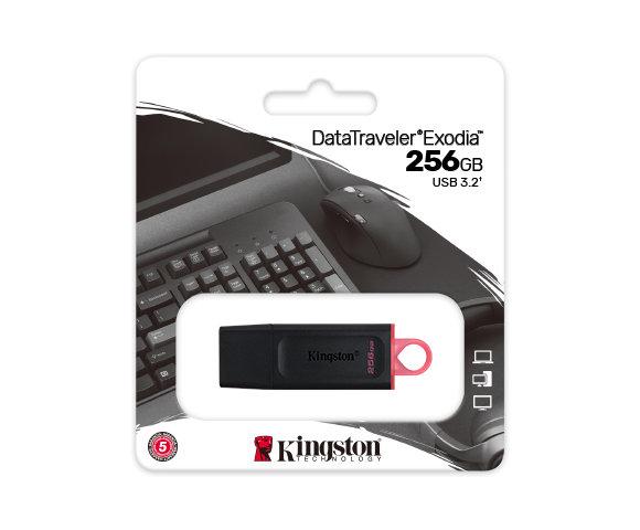 Kingston DTX/256GB - slika 3