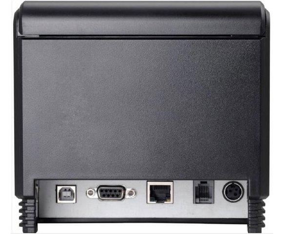 Birch CP-Q3 - slika 2