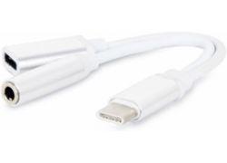 FAST ASIA TIP C na 3.5mm