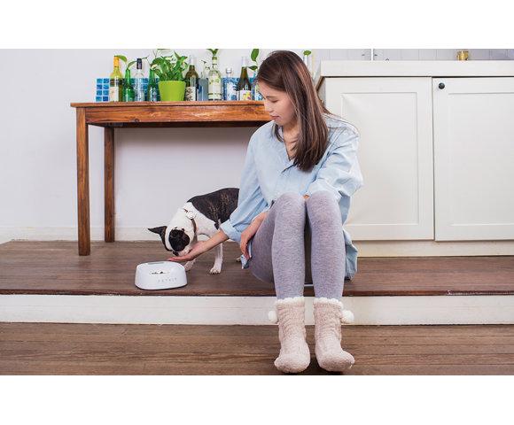 Baseus  Pet Bowl FRESH - slika 3