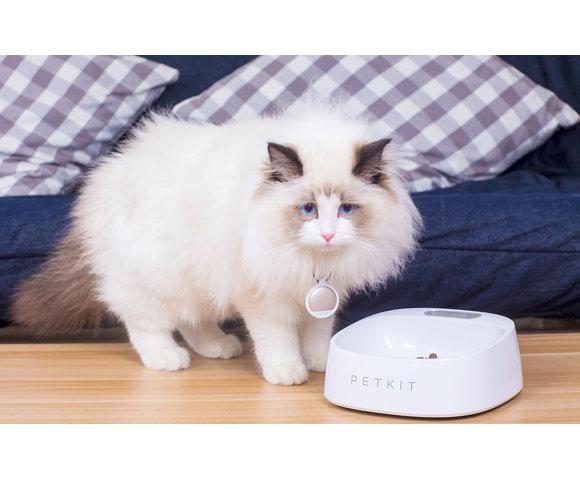 Baseus  Pet Bowl FRESH - slika 5