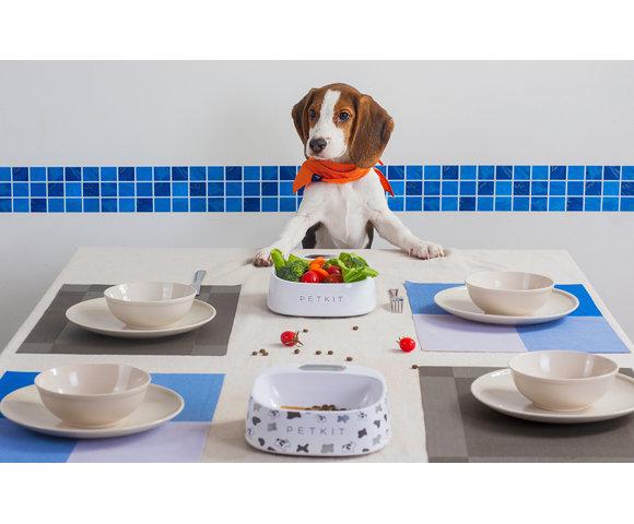 Baseus  Pet Bowl FRESH - slika 2