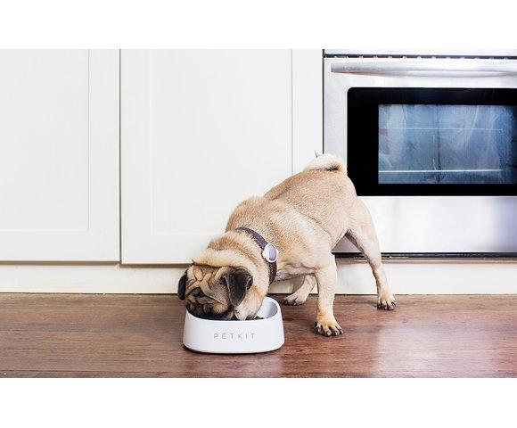 Baseus  Pet Bowl FRESH - slika 4