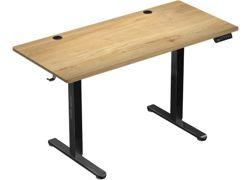 Mark Adler Leader 7.0 standing desk