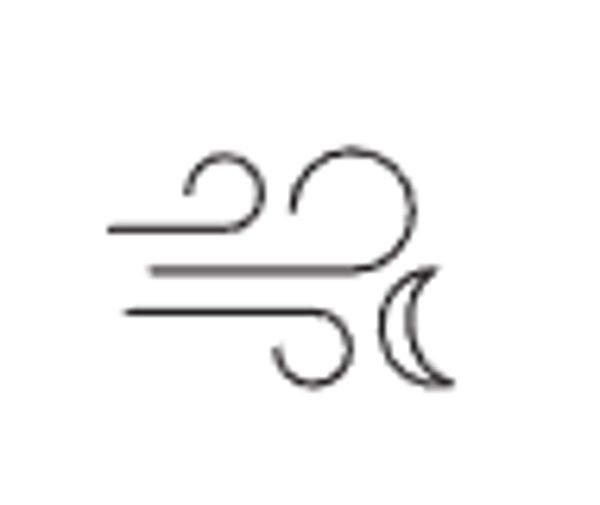 GARMIN Forerunner 570 - 42mm (Mango)