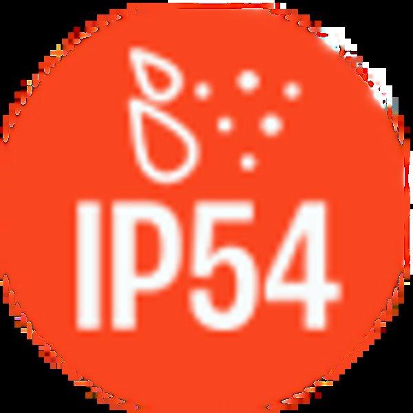 JBL Tune Flex 2 White