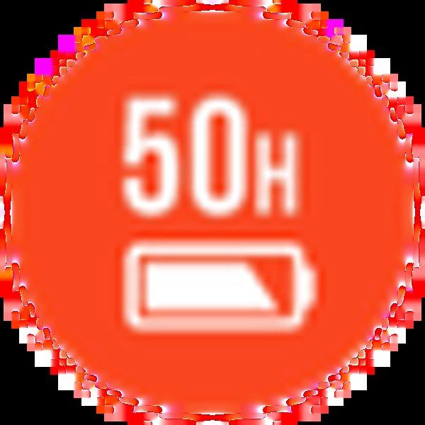 JBL Live Flex 3 Silver