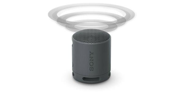 Sony SRS-XB100 (BLACK)