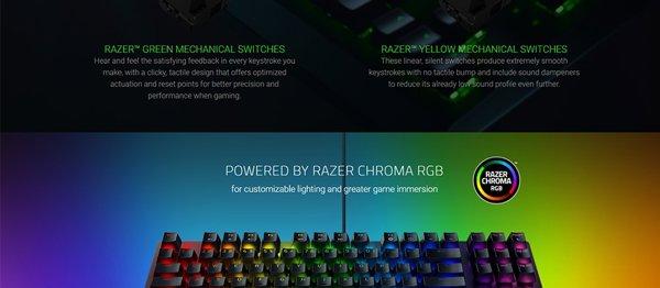 Razer BlackWidow V3 Tenkeyless GR