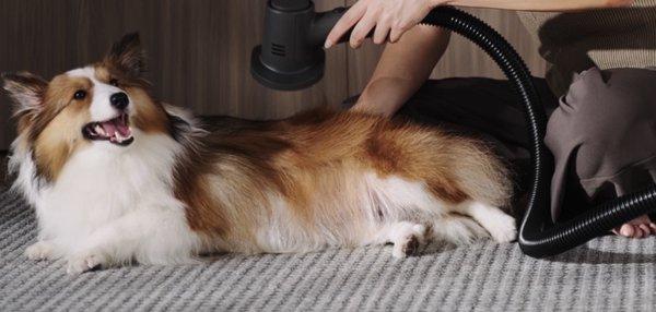 XIAOMI G30 Max štapni usisivač sa posudom