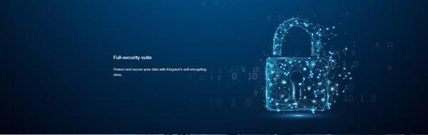 Kingston SKC600/512G