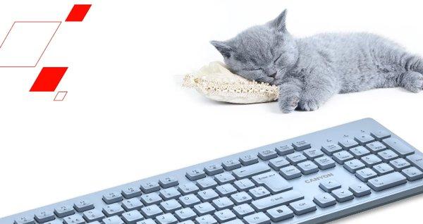 Canyon HKB-W01 Grey tastatura