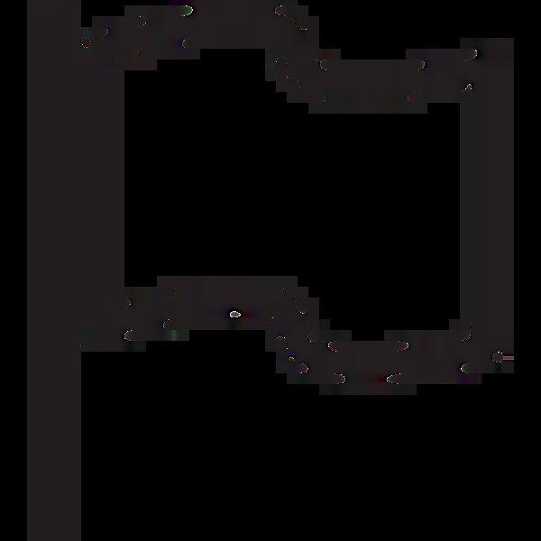 Garmin Forerunner 955 (CRNA)